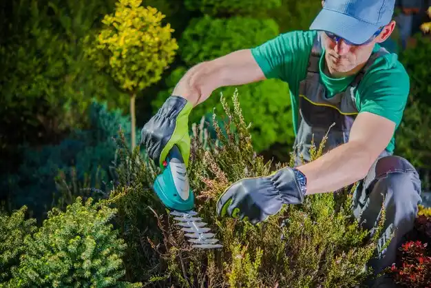 landscaping services Grafton